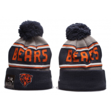 NFL CHICAGO BEARS BEANIES Fashion Knitted Cap Winter Hats 222