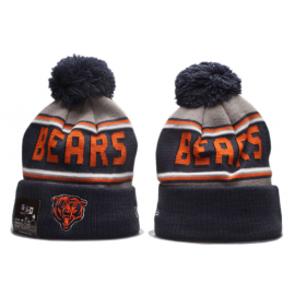 NFL CHICAGO BEARS BEANIES Fashion Knitted Cap Winter Hats 222